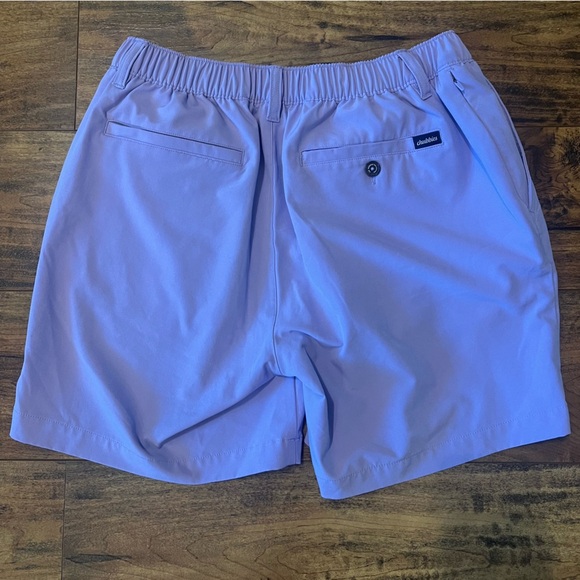 CHUBBIES Men’s Lilac Performance Shorts Size Medium EUC - Picture 5 of 6